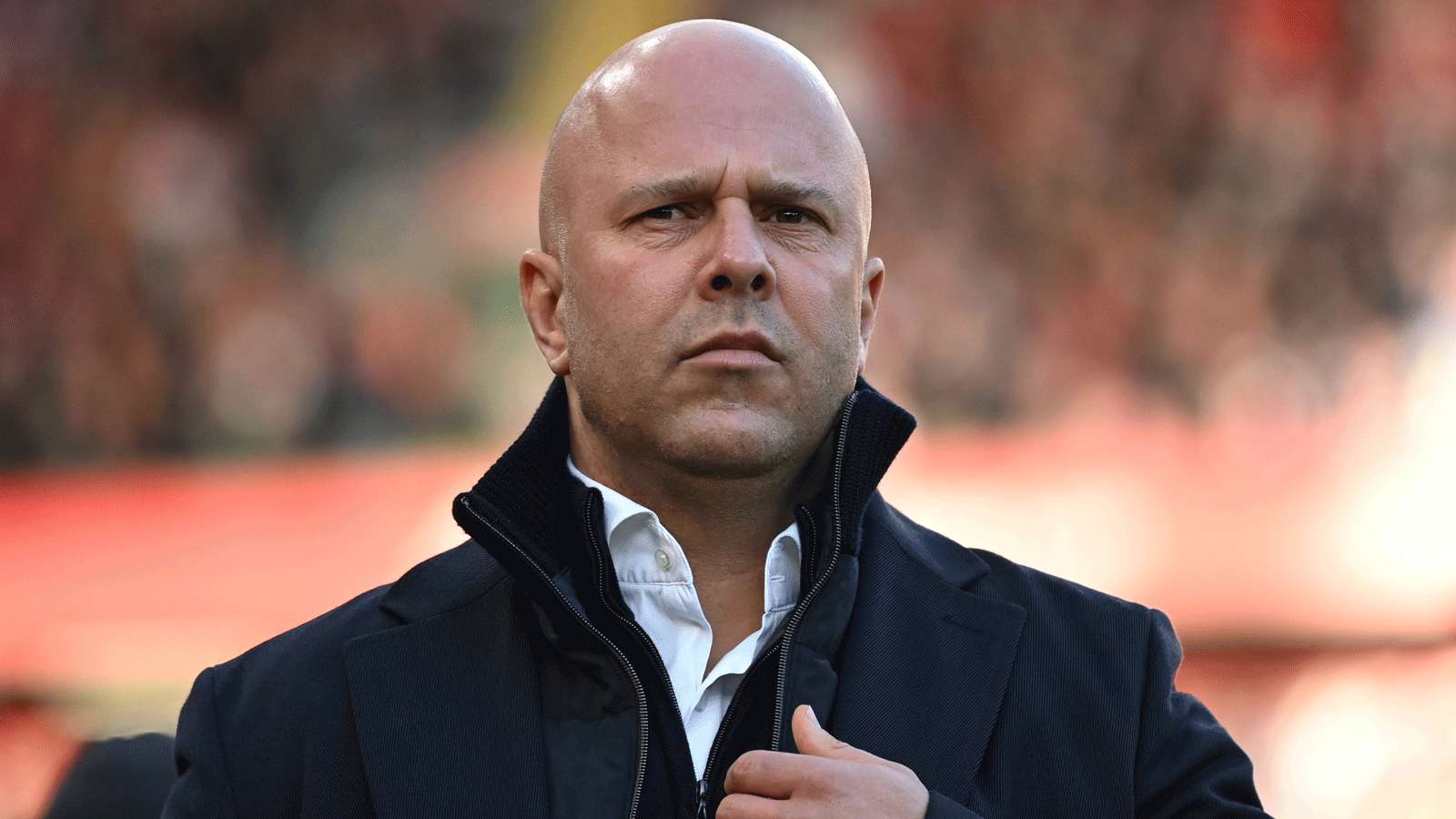 定性和多样 定性和多样